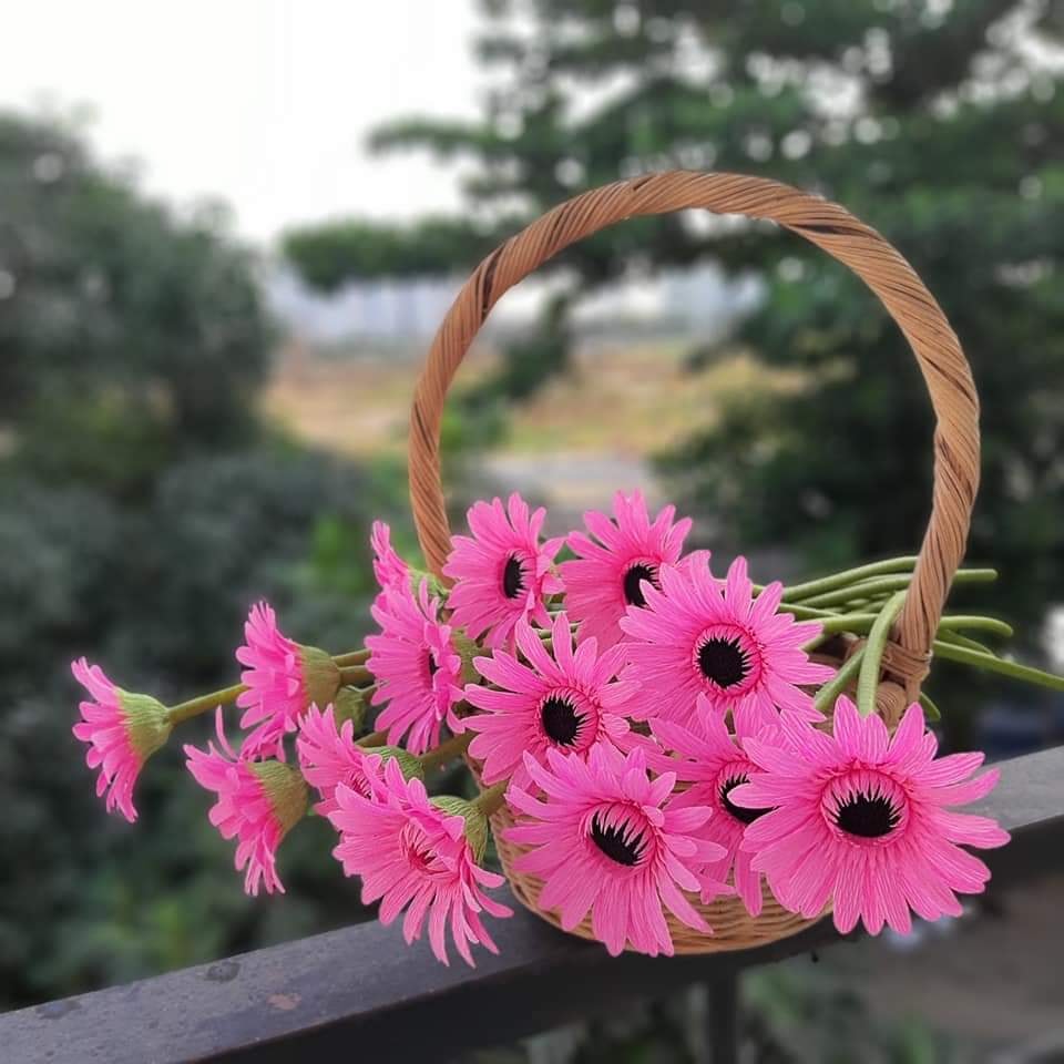 Bó hoa đồng tiền làm từ giấy nhún cao cấp mang giá trị tinh thần to lớn