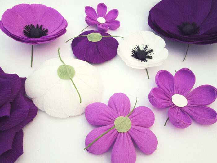 Hoa màu tím – Món quà thể hiện sự tinh tế và lòng thủy chung son sắt