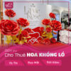 Dịch vụ cho thuê hoa giấy khổng lồ