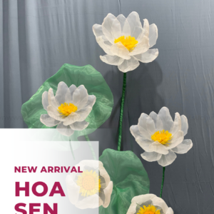 HOA SEN TRẮNG VOAN THUẦN KHIẾT