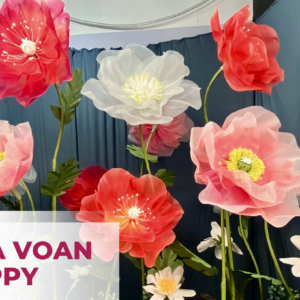 VƯỜN HOA VOAN POPPY KHỔNG LỒ