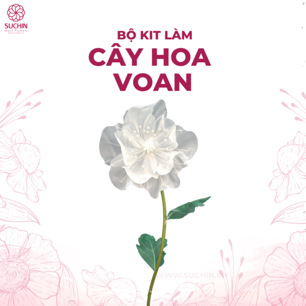 bộ kit làm hoa voan poppy