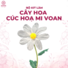 bộ kit làm hoa cúc họa mi