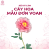 bộ kit làm hoa mẫu đơn voan