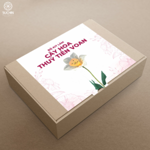 bộ nguyên liệu làm hoa thủy tiên voan