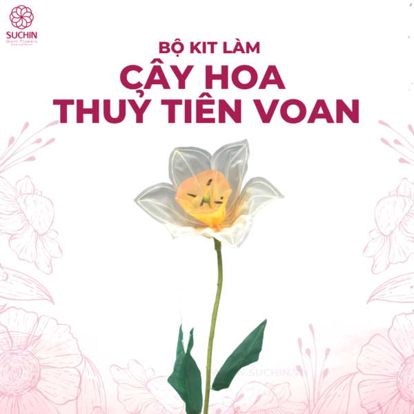 bộ nguyên liệu làm hoa thủy tiên voan