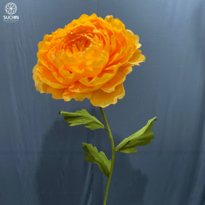 hoa mẫu đơn vàng khổng lồ