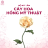 bộ kit làm hoa hồng mỹ thuật