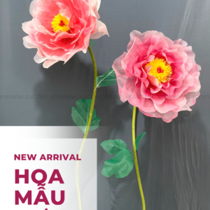 HOA MẪU ĐƠN VOAN TRANG TRÍ