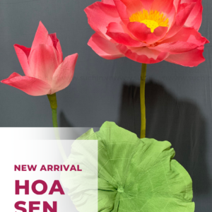 HOA SEN GIẤY NHÚN KHỔNG LỒ