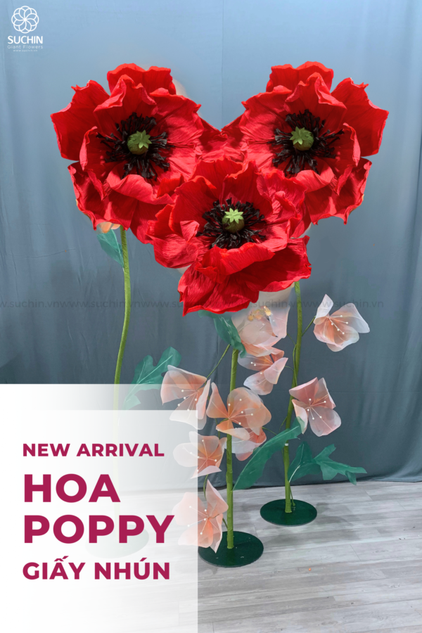 hoa khổng lồ Poppy