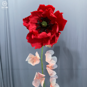 hoa khổng lồ Poppy