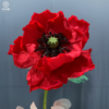 hoa khổng lồ Poppy