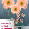 HOA POPPY KHỔNG LỒ VẠN NĂNG - Ảnh 2