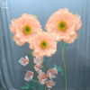 HOA POPPY KHỔNG LỒ VẠN NĂNG - Ảnh 5