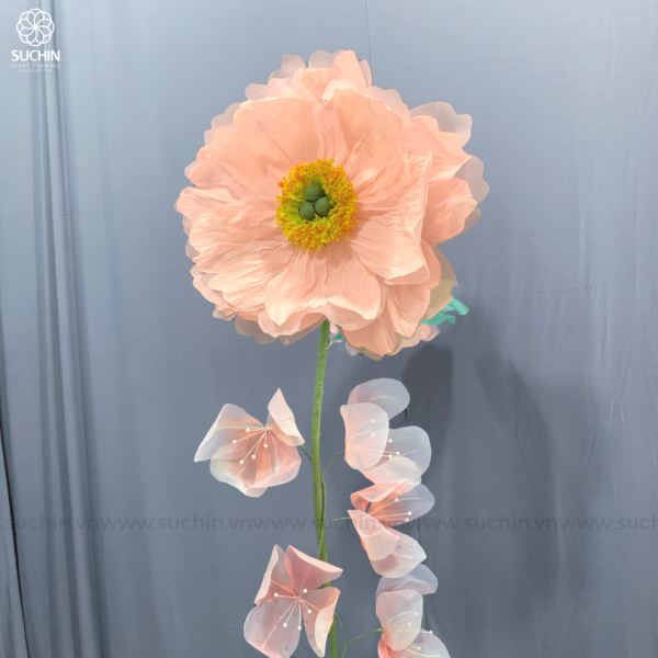 hoa poppy khổng lồ