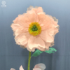hoa poppy khổng lồ