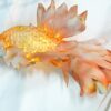 ĐÈN LỒNG TRUNG THU CÁ CHÉP DECOR TRUNG THU - Ảnh 3