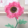 TẠO ẤN TƯỢNG VỚI HOA POPPY KHỔNG LỒ - Ảnh 4