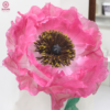 hoa poppy khổng lồ
