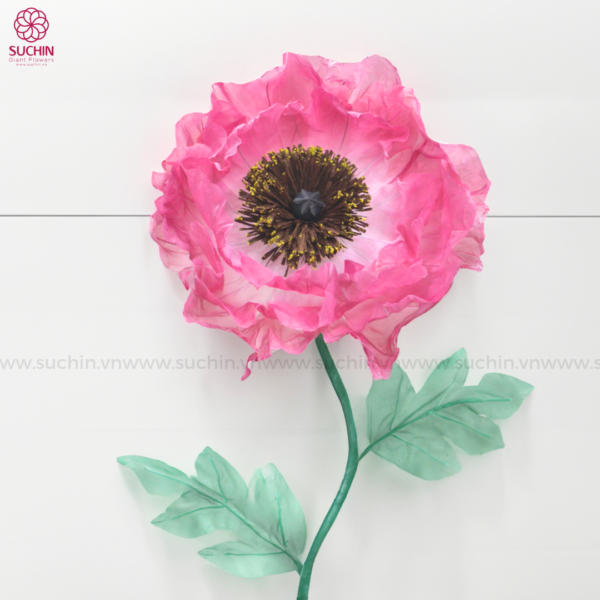 hoa poppy khổng lồ