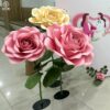 hoa khổng lồ