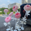 hoa mẫu đơn khổng lồ