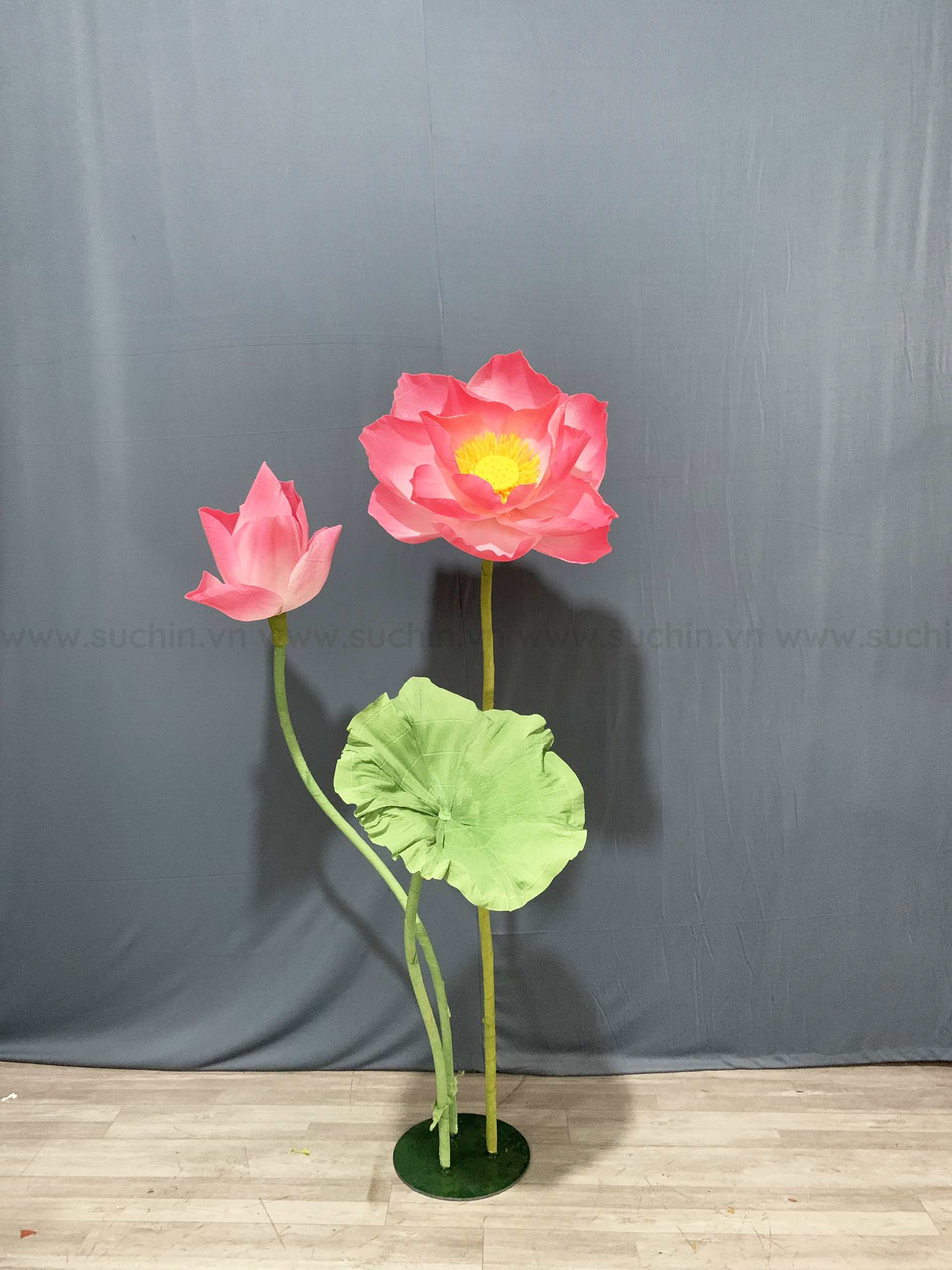 Hoa sen giấy nhún