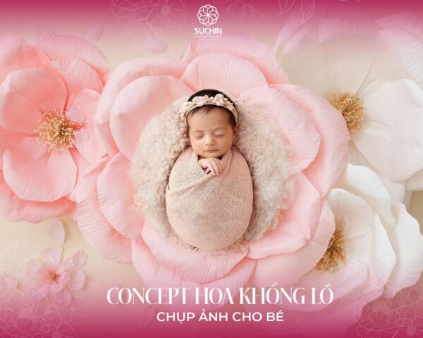 Hoa giấy nhún chụp ảnh cùng bé