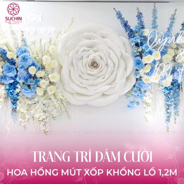 Hoa hồng khổng lồ 1m2