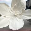 BST mẫu hoa "siêu to khổng lồ" - Ảnh 5