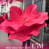 BST mẫu hoa "siêu to khổng lồ" - Ảnh 11