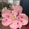 BST mẫu hoa "siêu to khổng lồ" - Ảnh 14