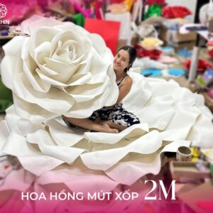 mẫu hoa hồng khổng lồ