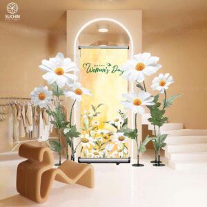 Hoa cúc họa mi khổng lồ - Loài hoa mang vẻ đẹp mộng mơ