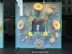 Hoa trang trí show window