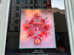 Hoa trang trí show window