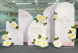 mẫu hoa giấy nhún trang trí