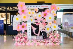 mẫu hoa giấy nhún trang trí