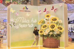 mẫu hoa giấy nhún trang trí