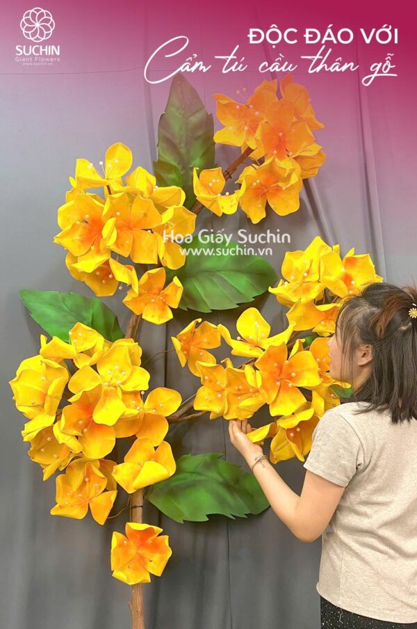 Cẩm Tú Cầu Thân Gỗ - Sản phẩm khổng lồ cho không gian ấn tượng!